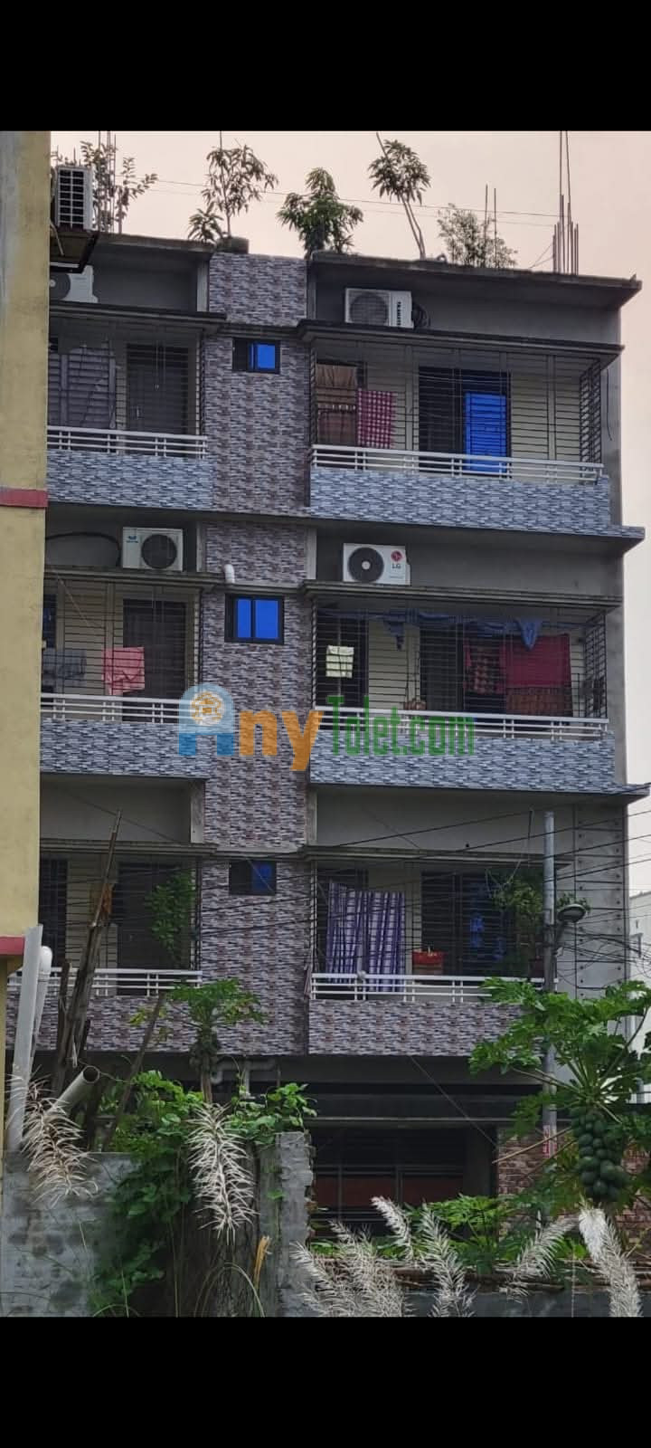 ভাড়া পাওয়া যাবে