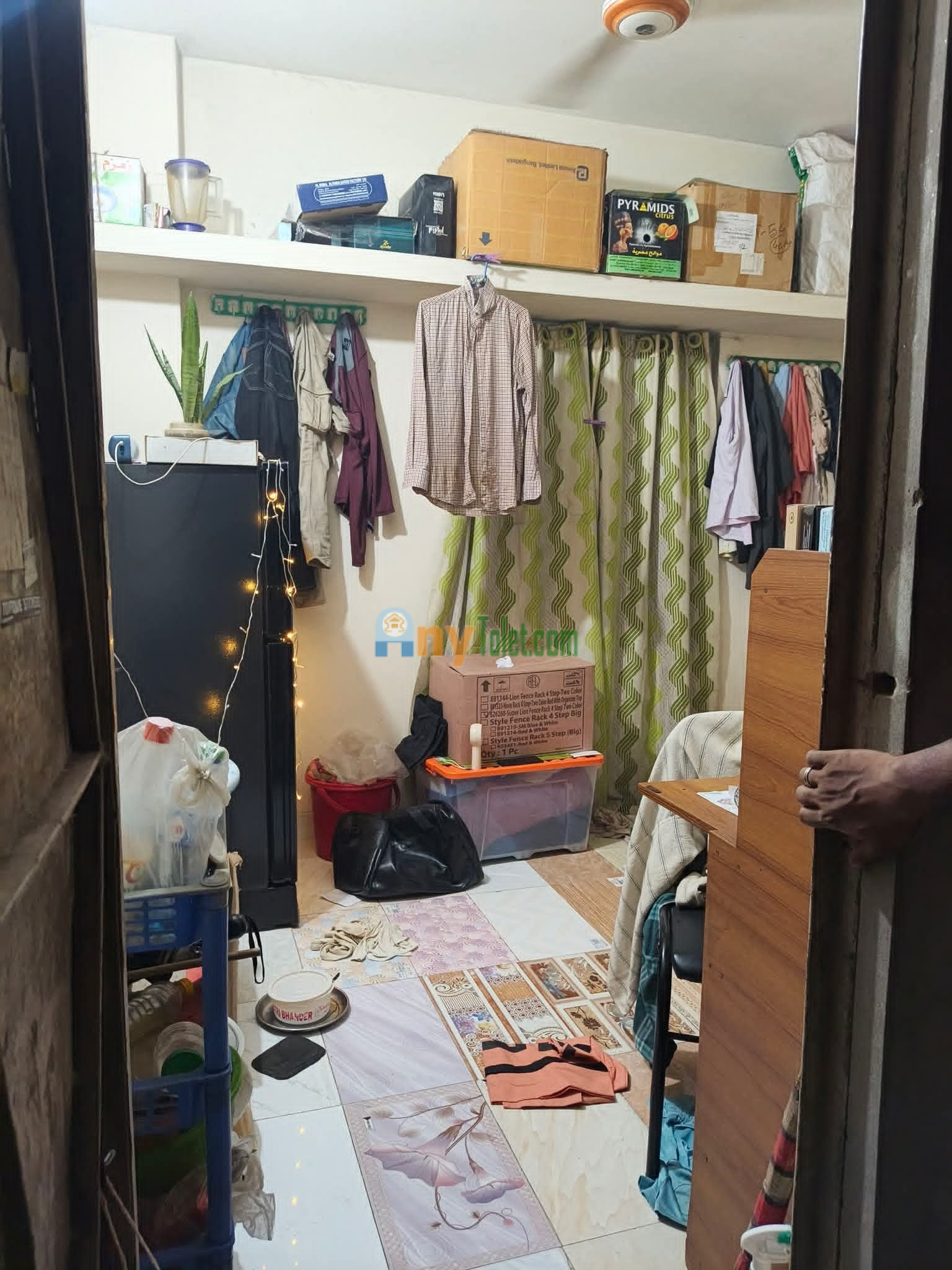 Tolet room rent